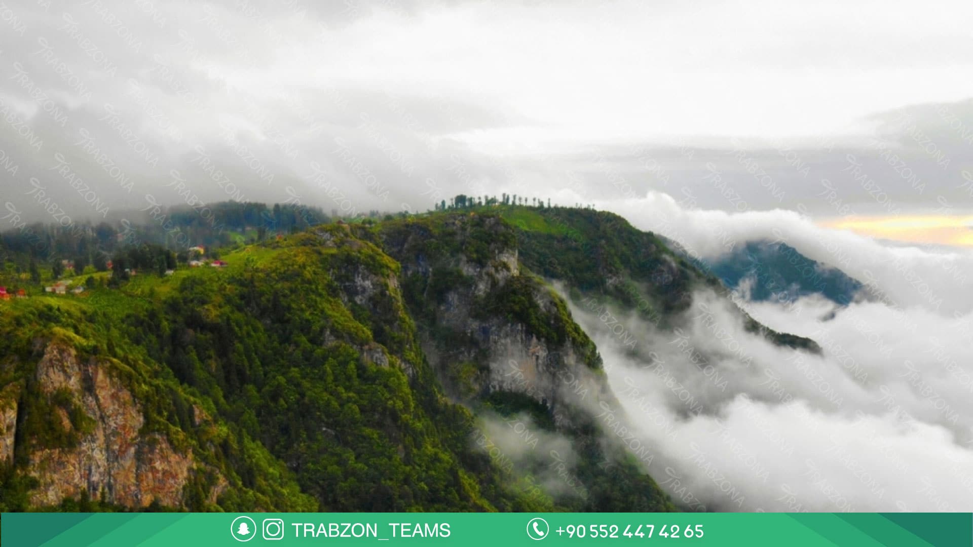 %D8%AD%D9%8A%D8%AF%D8%B1 %D9%86%D8%A8%D9%8A