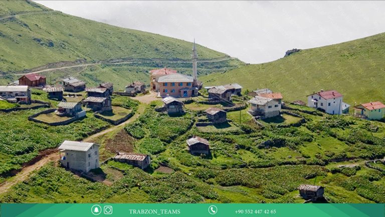 جولة سلطان مراد