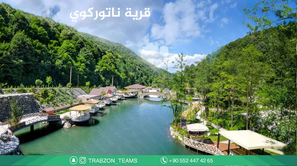 قرية-ناتوركوي