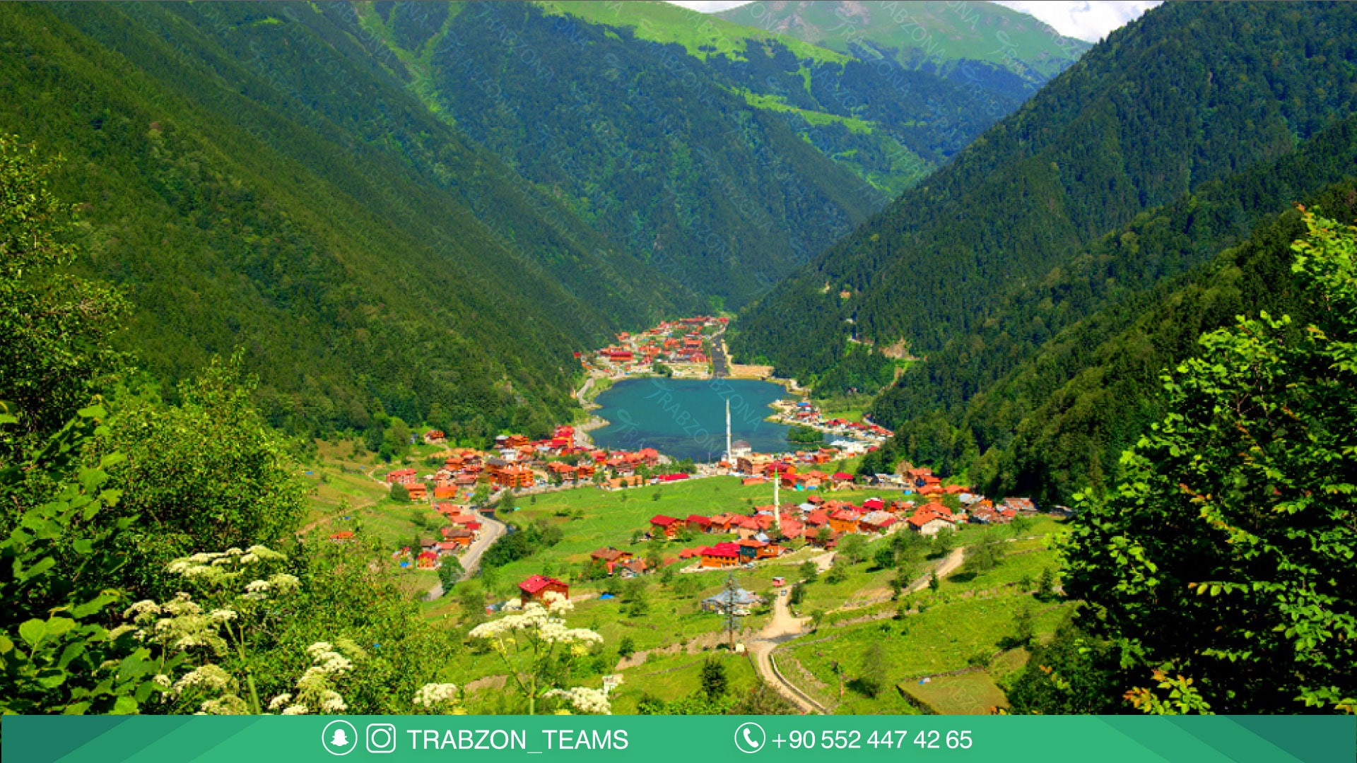 فنادق اوزنجول