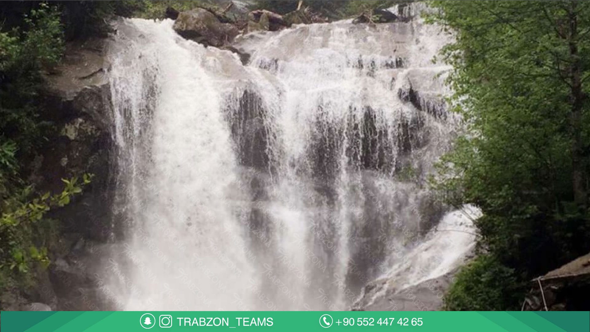 مزرعة العم مصطفى