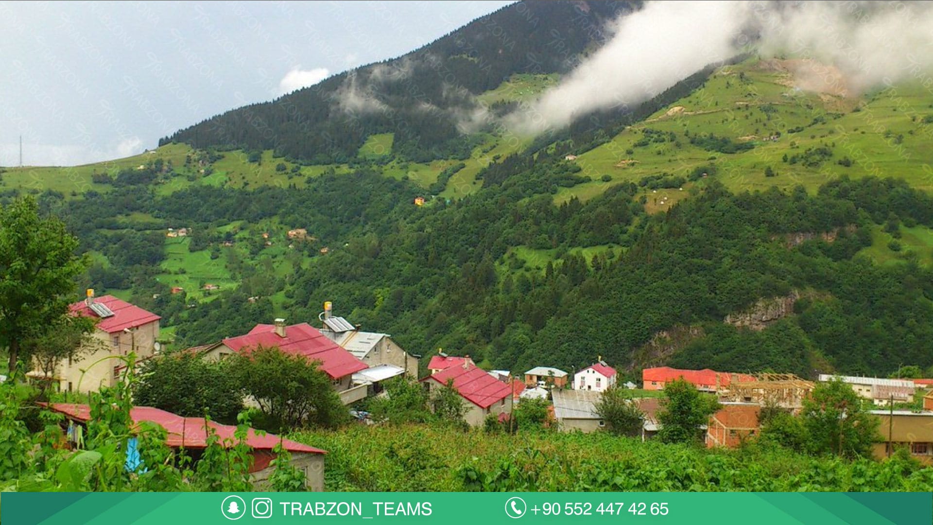 قرية هامسي كوي hamsiköy