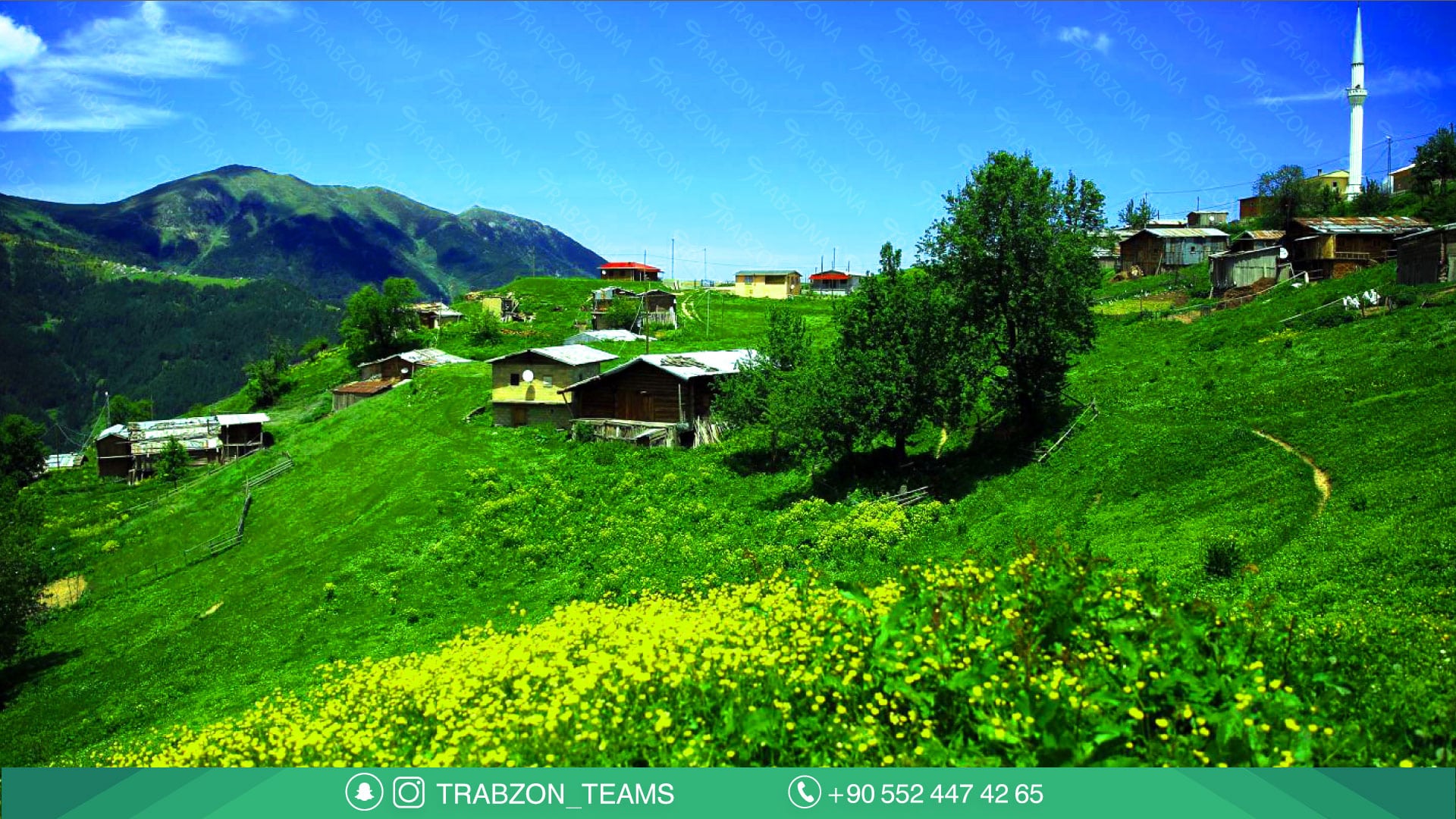 مرتفعات كياباشي