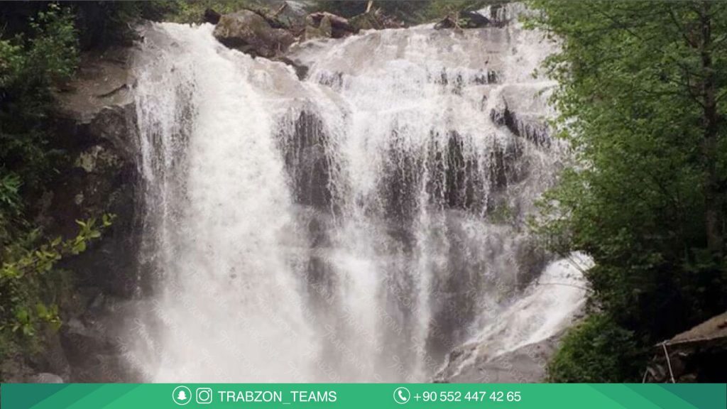 مزرعة العم مصطفى