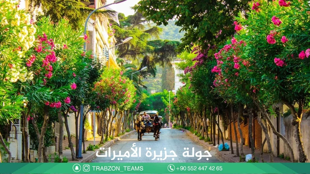 جولة-جزيرة-الأميرات