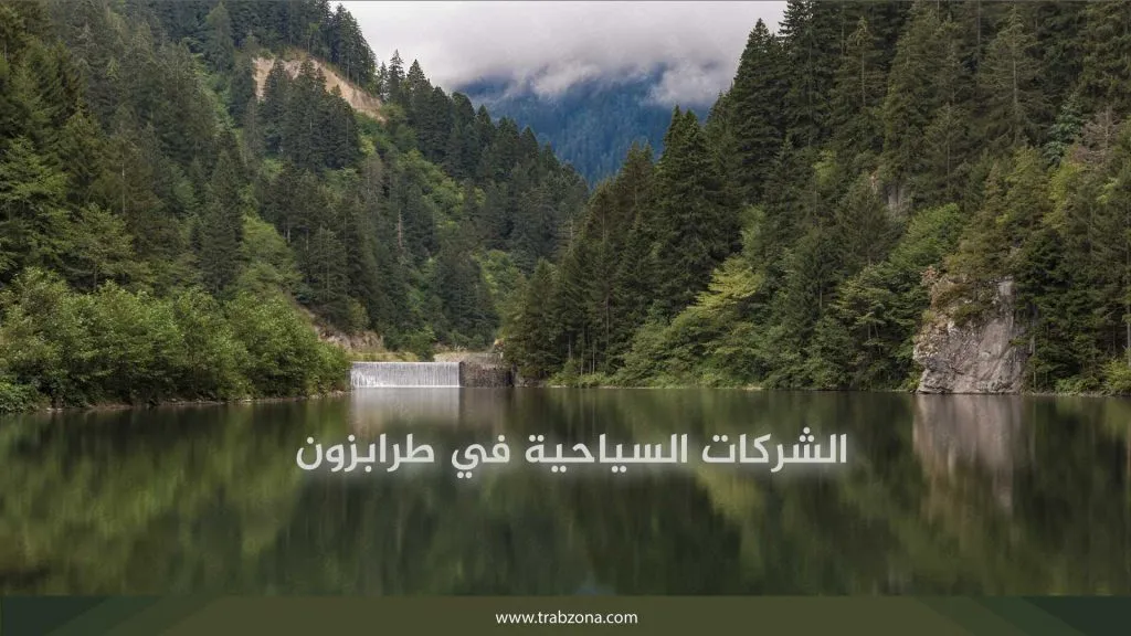 الشركات السياحية في طرابزون