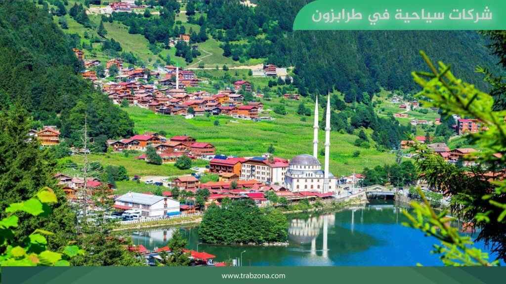 أفضل شركات سياحية في طرابزون المرخصة لعام 2025 2 شركة سياحية في طرابزون