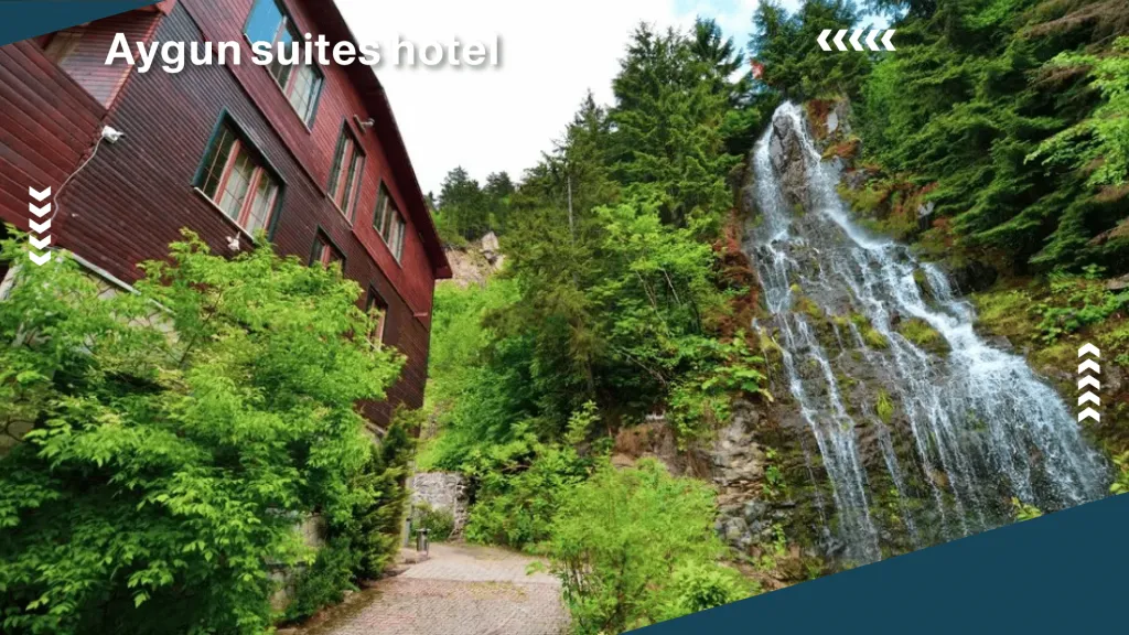 Aygün suites hotel 