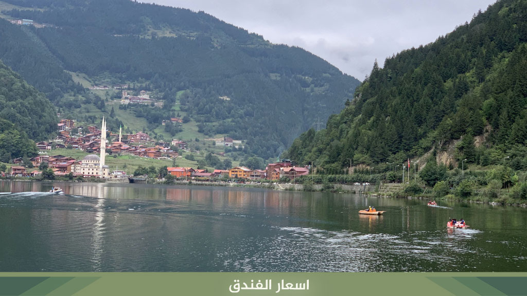 %D8%A7%D8%B3%D8%B9%D8%A7%D8%B1 %D8%A7%D9%84%D9%81%D9%86%D8%AF%D9%82 8