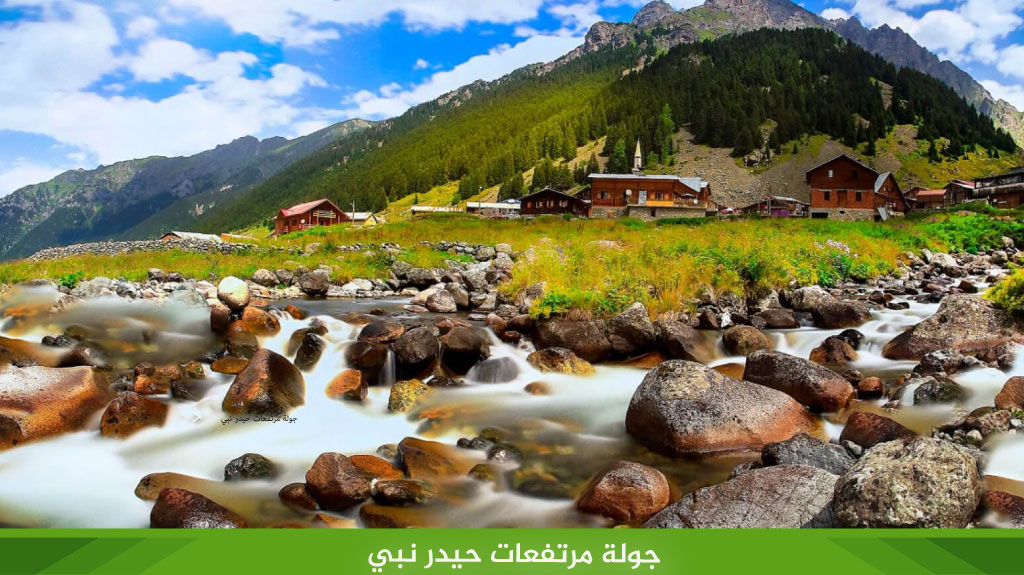 جولة حيدر نبي 