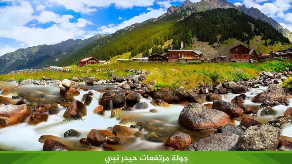 جولة حيدر نبي 
