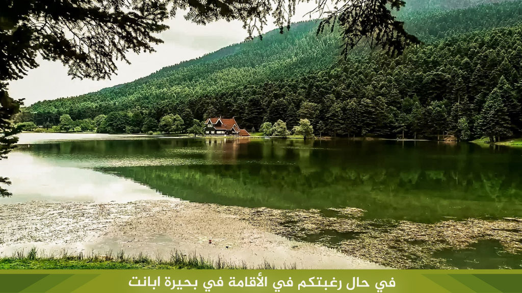 %D9%81%D9%8A %D8%AD%D8%A7%D9%84 %D8%B1%D8%BA%D8%A8%D8%AA%D9%83%D9%85 %D9%81%D9%8A %D8%A7%D9%84%D8%A3%D9%82%D8%A7%D9%85%D8%A9 %D9%81%D9%8A %D8%A8%D8%AD%D9%8A%D8%B1%D8%A9 %D8%A7%D8%A8%D8%A7%D9%86%D8%AA