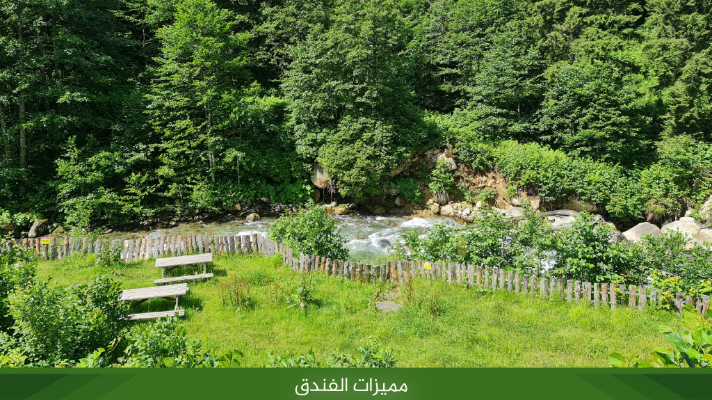 Kackar Resort Hotel فندق منتجع كاجكار 3 %D9%85%D9%85%D9%8A%D8%B2%D8%A7%D8%AA %D8%A7%D9%84%D9%81%D9%86%D8%AF%D9%82 8