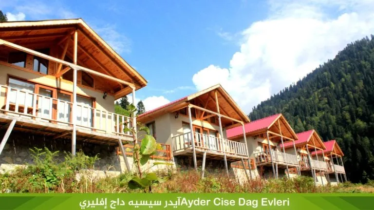 فندق آيدر سيس داغ إفليري Ayder Cise Dag Evleri‏