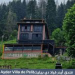 فندق آيدر فيلا دي بيليت Ayder Villa de Pelit Hotel