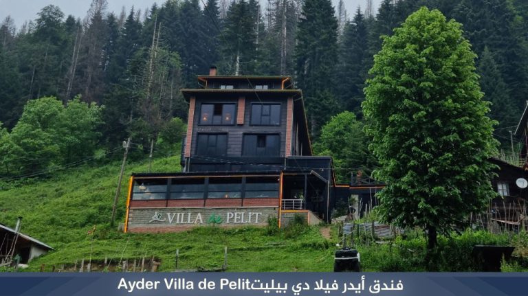 فندق آيدر فيلا دي بيليت