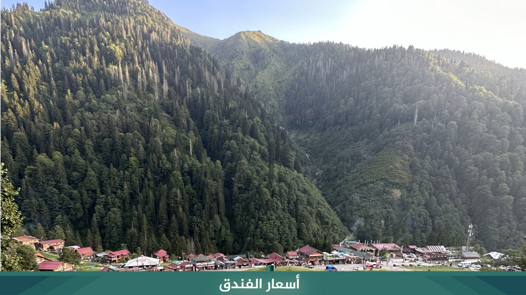 فندق آيدر فيلا دي بيليت Ayder Villa de Pelit Hotel 6 أسعار فندق آيدر فيلا دي بيليت