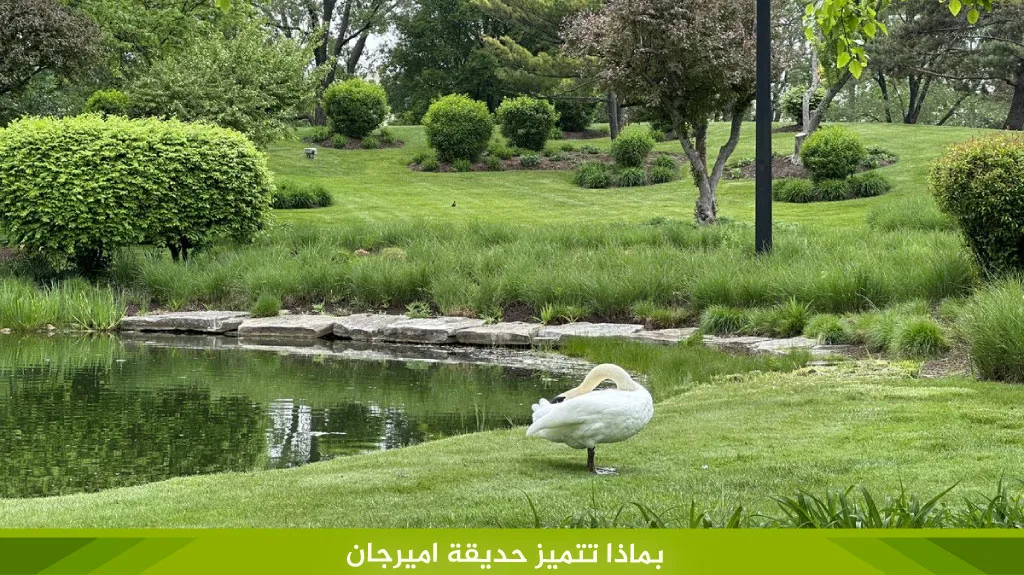بماذا تتميز حديقة اميرجان
