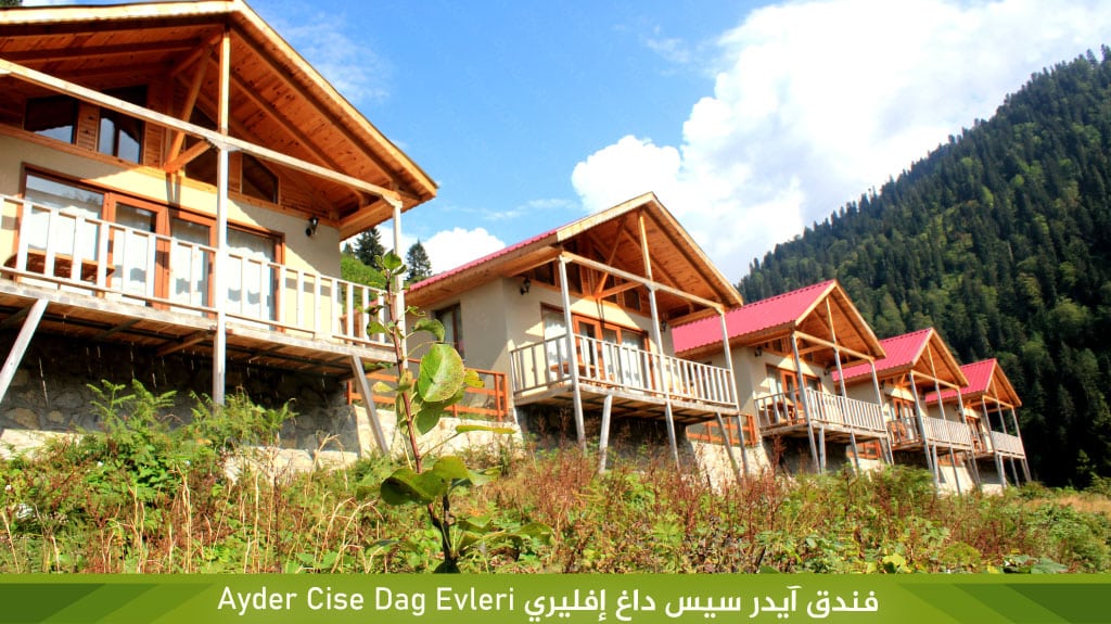 فندق آيدر سيس داغ إفليري Ayder Cise Dag Evleri‏