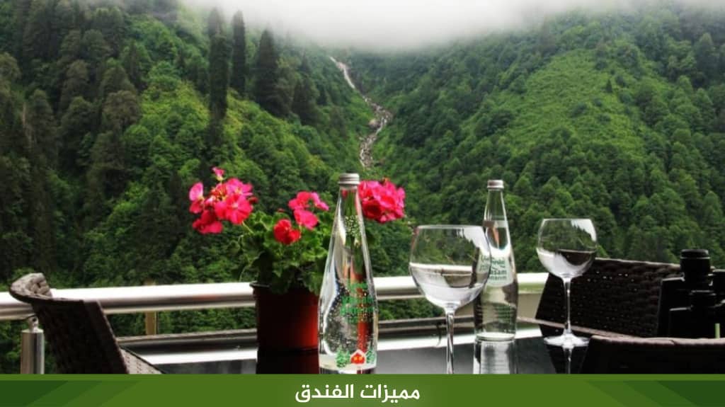 فندق آيدر فيلا دي بيليت Ayder Villa de Pelit Hotel 4 مميزات فندق آيدر فيلا دي بيليت