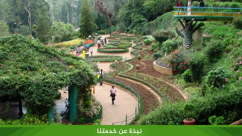 نبذة عن خدمتنا