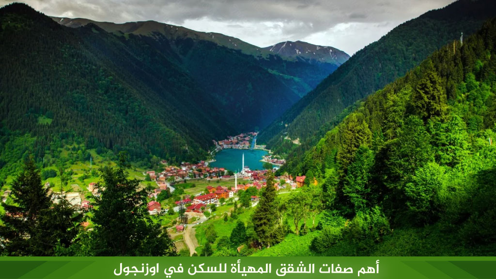 %D8%A3%D9%87%D9%85 %D8%B5%D9%81%D8%A7%D8%AA %D8%A7%D9%84%D8%B4%D9%82%D9%82 %D8%A7%D9%84%D9%85%D9%87%D9%8A%D8%A3%D8%A9 %D9%84%D9%84%D8%B3%D9%83%D9%86 %D9%81%D9%8A %D8%A7%D9%88%D8%B2%D9%86%D8%AC%D9%88%D9%84