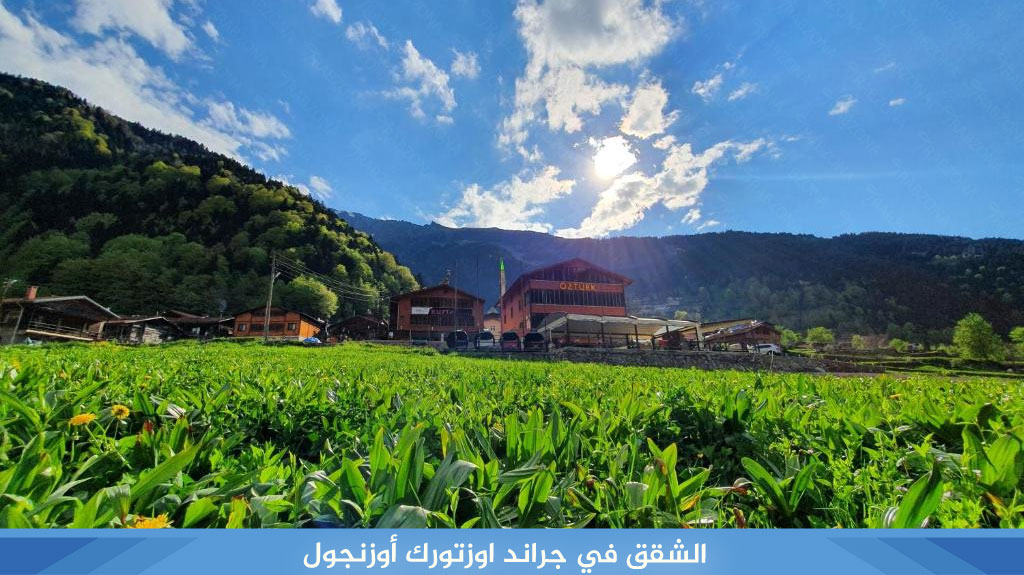 %D8%A7%D9%84%D8%B4%D9%82%D9%82 %D9%81%D9%8A %D8%AC%D8%B1%D8%A7%D9%86%D8%AF %D8%A7%D9%88%D8%B2%D8%AA%D9%88%D8%B1%D9%83 %D8%A3%D9%88%D8%B2%D9%86%D8%AC%D9%88%D9%84