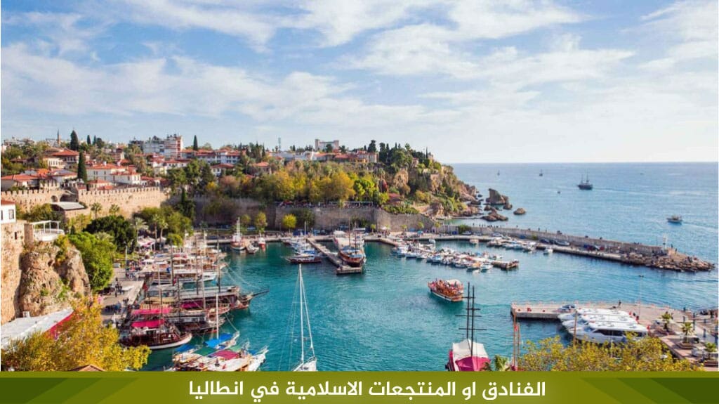 %D8%A7%D9%84%D9%81%D9%86%D8%A7%D8%AF%D9%82 %D8%A7%D9%88 %D8%A7%D9%84%D9%85%D9%86%D8%AA%D8%AC%D8%B9%D8%A7%D8%AA %D8%A7%D9%84%D8%A7%D8%B3%D9%84%D8%A7%D9%85%D9%8A%D8%A9 %D9%81%D9%8A %D8%A7%D9%86%D8%B7%D8%A7%D9%84%D9%8A%D8%A7 1