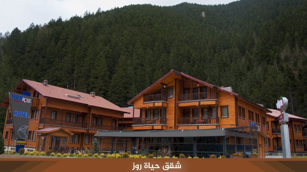 %D8%B4%D9%82%D9%82 %D8%AD%D9%8A%D8%A7%D8%A9 %D8%B1%D9%88%D8%B2