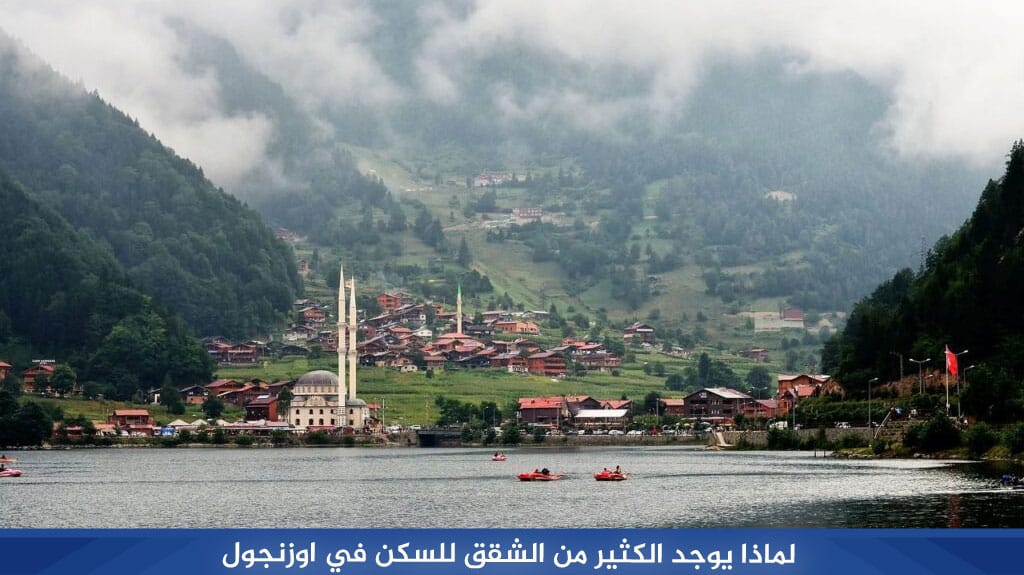 %D9%84%D9%85%D8%A7%D8%B0%D8%A7 %D9%8A%D9%88%D8%AC%D8%AF %D8%A7%D9%84%D9%83%D8%AB%D9%8A%D8%B1 %D9%85%D9%86 %D8%A7%D9%84%D8%B4%D9%82%D9%82 %D9%84%D9%84%D8%B3%D9%83%D9%86 %D9%81%D9%8A %D8%A7%D9%88%D8%B2%D9%86%D8%AC%D9%88%D9%84