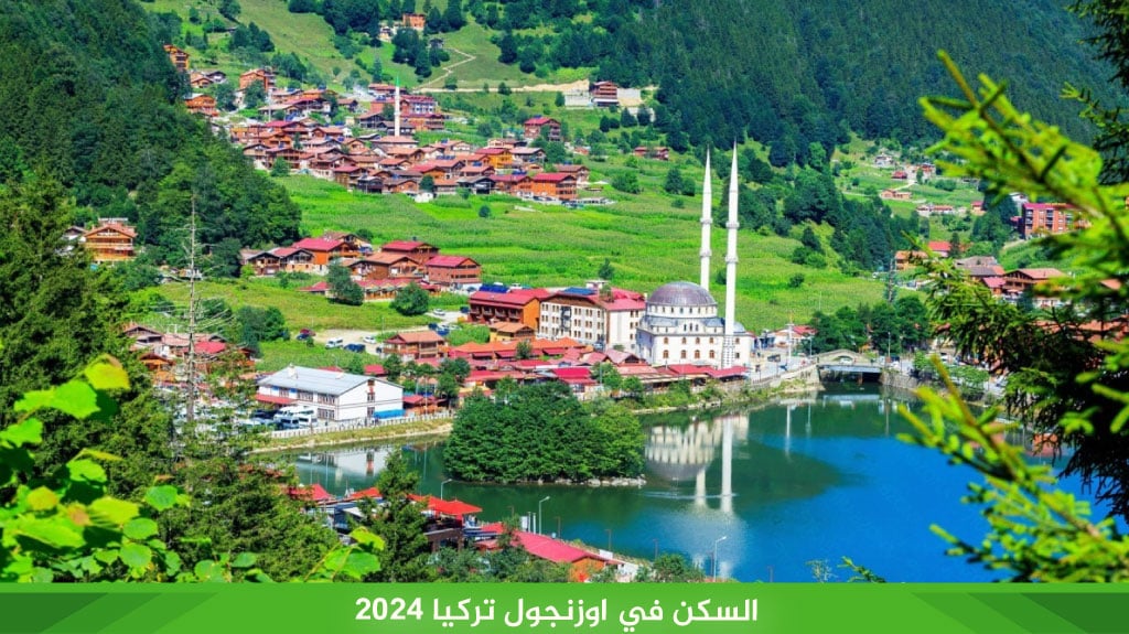 السكن في اوزنجول تركيا 2026