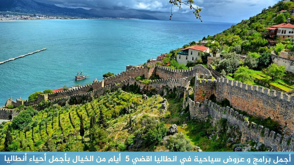 %D8%A3%D8%AC%D9%85%D9%84 %D8%A8%D8%B1%D8%A7%D9%85%D8%AC %D9%88 %D8%B9%D8%B1%D9%88%D8%B6 %D8%B3%D9%8A%D8%A7%D8%AD%D9%8A%D8%A9 %D9%81%D9%8A %D8%A7%D9%86%D8%B7%D8%A7%D9%84%D9%8A%D8%A7 %D8%A7%D9%82%D8%B6%D9%8A 5 %D8%A3%D9%8A%D8%A7%D9%85 %D9%85%D9%86 %D8%A7%D9%84%D8%AE%D9%8A%D8%A7%D9%84 %D8%A8%D8%A3%D8%AC%D9%85%D9%84 %D8%A3%D8%AD%D9%8A%D8%A7%D8%A1 %D8%A3%D9%86%D8%B7%D8%A7%D9%84%D9%8A%D8%A7 1