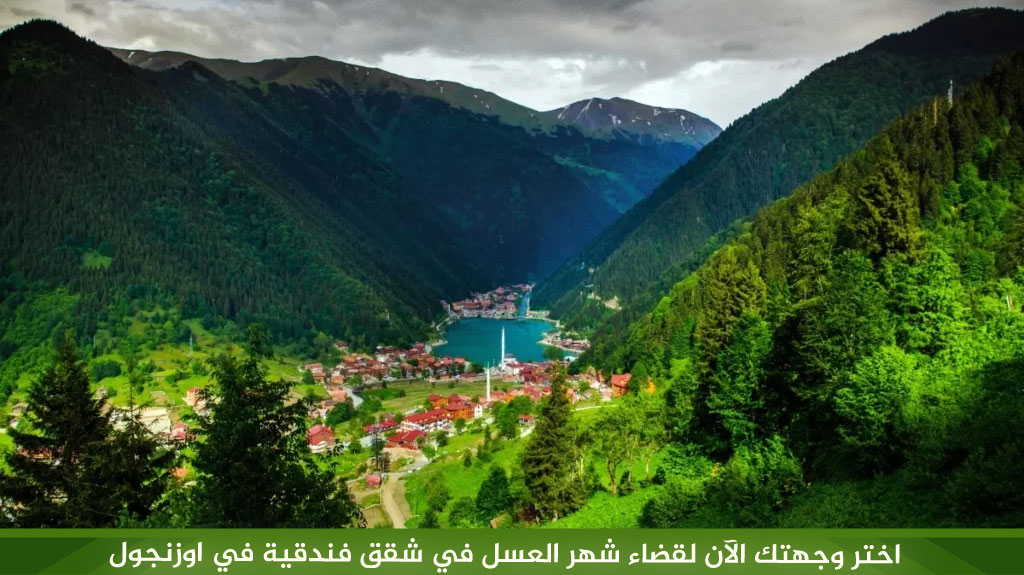 أفضل شقق فندقية في اوزنجول مطلة على البحيرة 2026 2 %D8%A7%D8%AE%D8%AA%D8%B1 %D9%88%D8%AC%D9%87%D8%AA%D9%83 %D8%A7%D9%84%D8%A2%D9%86 %D9%84%D9%82%D8%B6%D8%A7%D8%A1 %D8%B4%D9%87%D8%B1 %D8%A7%D9%84%D8%B9%D8%B3%D9%84 %D9%81%D9%8A %D8%B4%D9%82%D9%82 %D9%81%D9%86%D8%AF%D9%82%D9%8A%D8%A9 %D9%81%D9%8A %D8%A7%D9%88%D8%B2%D9%86%D8%AC%D9%88%D9%84 1