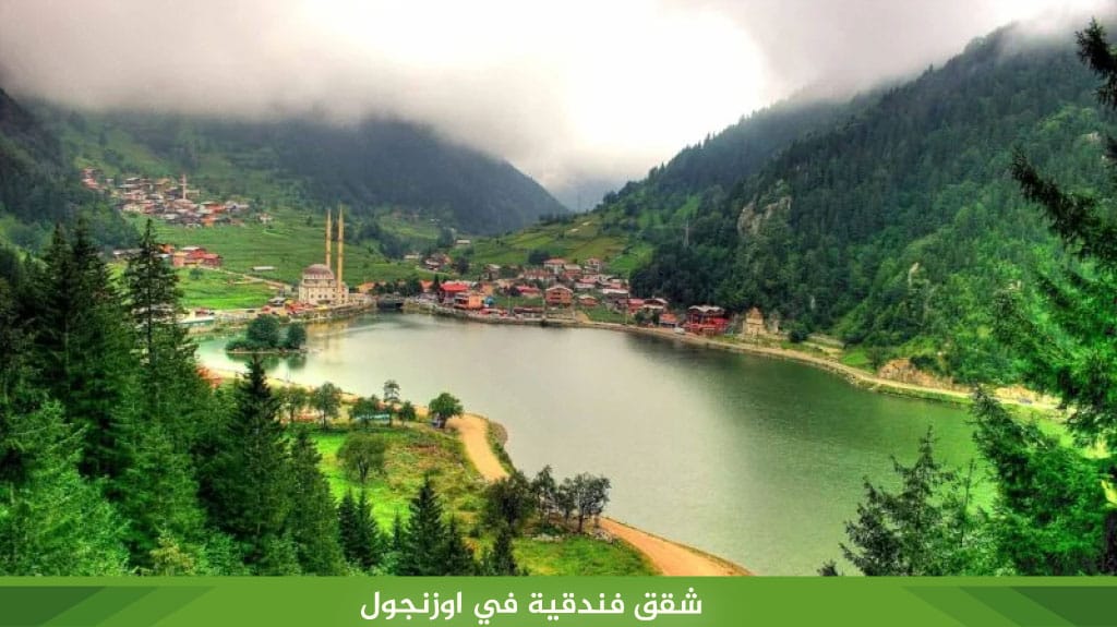 أفضل شقق فندقية في اوزنجول مطلة على البحيرة 2026 3 %D8%B4%D9%82%D9%82 %D9%81%D9%86%D8%AF%D9%82%D9%8A%D8%A9 %D9%81%D9%8A %D8%A7%D9%88%D8%B2%D9%86%D8%AC%D9%88%D9%84