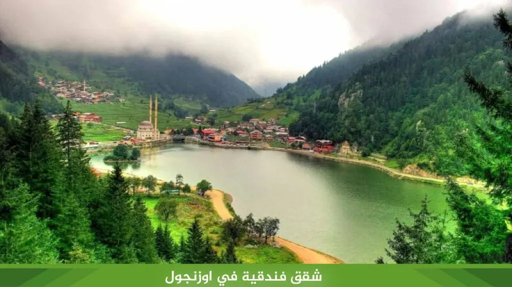 أفضل شقق فندقية في اوزنجول مطلة على البحيرة 2026 3 %D8%B4%D9%82%D9%82 %D9%81%D9%86%D8%AF%D9%82%D9%8A%D8%A9 %D9%81%D9%8A %D8%A7%D9%88%D8%B2%D9%86%D8%AC%D9%88%D9%84
