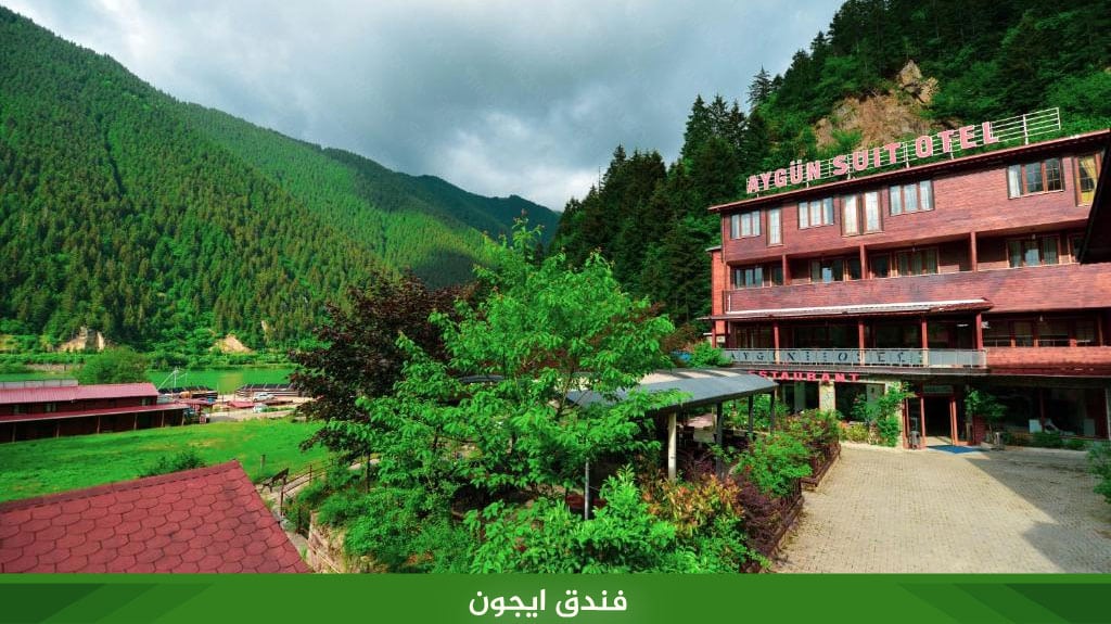 1.%D9%81%D9%86%D8%AF%D9%82 %D8%A7%D9%8A%D8%AC%D9%88%D9%86