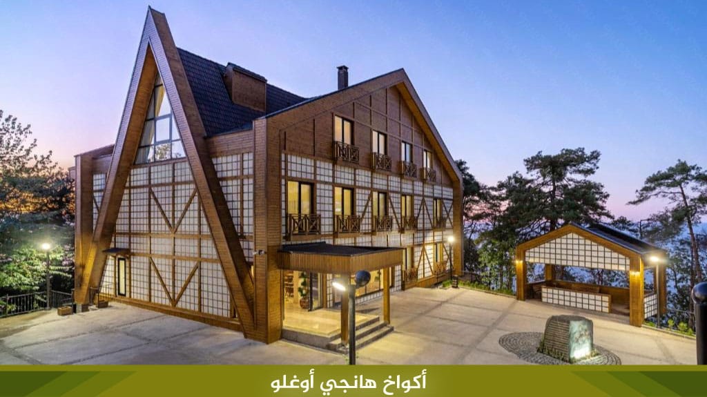 %D8%A3%D9%83%D9%88%D8%A7%D8%AE %D9%87%D8%A7%D9%86%D8%AC%D9%8A %D8%A3%D9%88%D8%BA%D9%84%D9%88