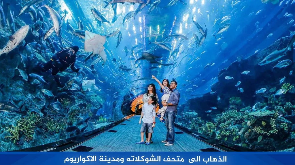 أجمل برنامج سياحي في اسطنبول لمدة 3 أيام فقط 7 %D8%A7%D9%84%D8%B0%D9%87%D8%A7%D8%A8 %D8%A7%D9%84%D9%89 %D9%85%D8%AA%D8%AD%D9%81 %D8%A7%D9%84%D8%B4%D9%88%D9%83%D9%84%D8%A7%D8%AA%D9%87 %D9%88%D9%85%D8%AF%D9%8A%D9%86%D8%A9 %D8%A7%D9%84%D8%A7%D9%83%D9%88%D8%A7%D8%B1%D9%8A%D9%88%D9%85