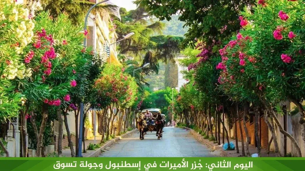 أفضل برنامج سياحي في اسطنبول لمدة 5 ايام لعام 2026 5 اليوم الثاني: جُزر الأميرات في إسطنبول وجولة تسوق