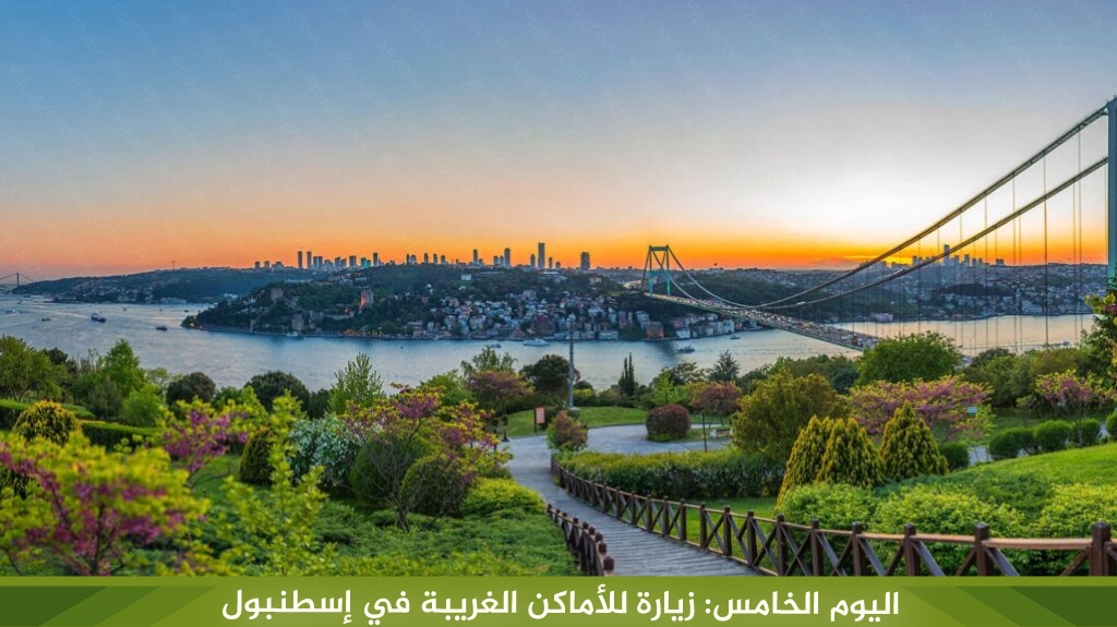 اليوم الخامس: زيارة للأماكن الغريبة في اسطنبول