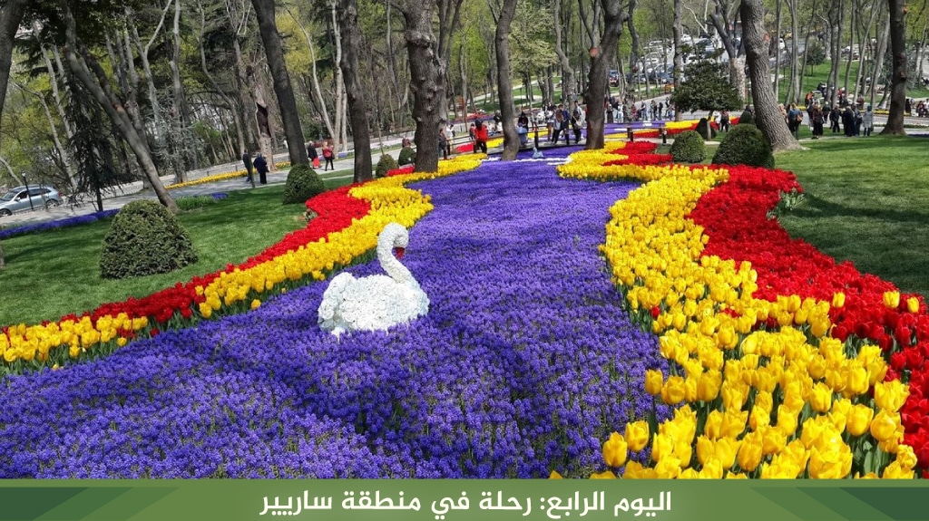 اليوم الرابع: رحلة في منطقة ساريير