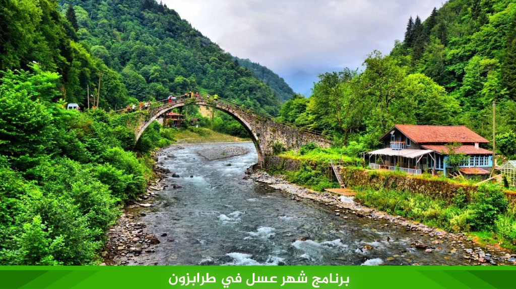 %D8%A8%D8%B1%D9%86%D8%A7%D9%85%D8%AC %D8%B4%D9%87%D8%B1 %D8%B9%D8%B3%D9%84 %D9%81%D9%8A %D8%B7%D8%B1%D8%A7%D8%A8%D8%B2%D9%88%D9%86