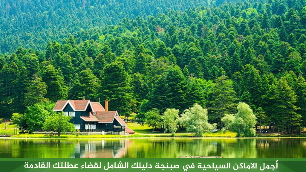 %D8%A3%D8%AC%D9%85%D9%84 %D8%A7%D9%84%D8%A7%D9%85%D8%A7%D9%83%D9%86 %D8%A7%D9%84%D8%B3%D9%8A%D8%A7%D8%AD%D9%8A%D8%A9 %D9%81%D9%8A %D8%B5%D8%A8%D9%86%D8%AC%D8%A9 %D8%AF%D9%84%D9%8A%D9%84%D9%83 %D8%A7%D9%84%D8%B4%D8%A7%D9%85%D9%84 %D9%84%D9%82%D8%B6%D8%A7%D8%A1 %D8%B9%D8%B7%D9%84%D8%AA%D9%83 %D8%A7%D9%84%D9%82%D8%A7%D8%AF%D9%85%D8%A9 1