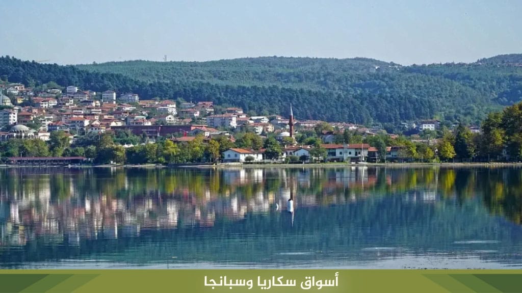 %D8%A3%D8%B3%D9%88%D8%A7%D9%82 %D8%B3%D9%83%D8%A7%D8%B1%D9%8A%D8%A7 %D9%88%D8%B3%D8%A8%D8%A7%D9%86%D8%AC%D8%A7