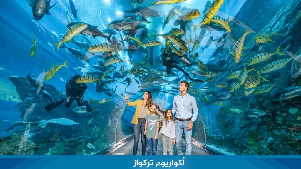 %D8%A3%D9%83%D9%88%D8%A7%D8%B1%D9%8A%D9%88%D9%85 %D8%AA%D8%B1%D9%83%D9%88%D8%A7%D8%B2