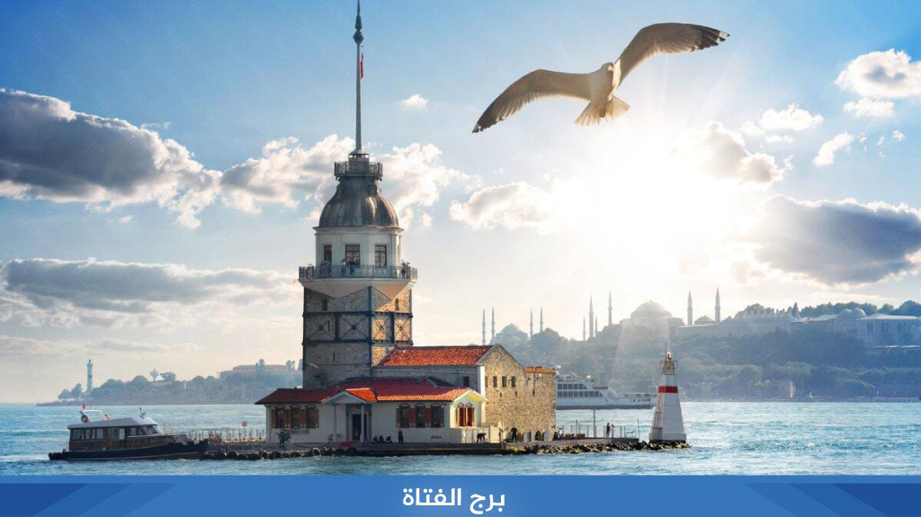 %D8%A8%D8%B1%D8%AC %D8%A7%D9%84%D9%81%D8%AA%D8%A7%D8%A9