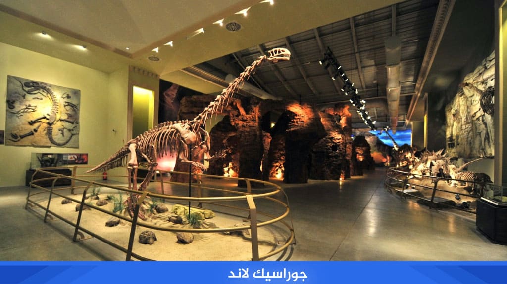 %D8%AC%D9%88%D8%B1%D8%A7%D8%B3%D9%8A%D9%83 %D9%84%D8%A7%D9%86%D8%AF