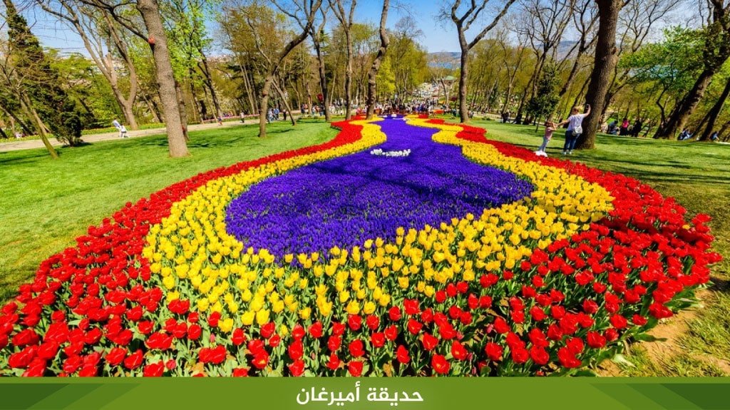 %D8%AD%D8%AF%D9%8A%D9%82%D8%A9 %D8%A3%D9%85%D9%8A%D8%B1%D8%BA%D8%A7%D9%86