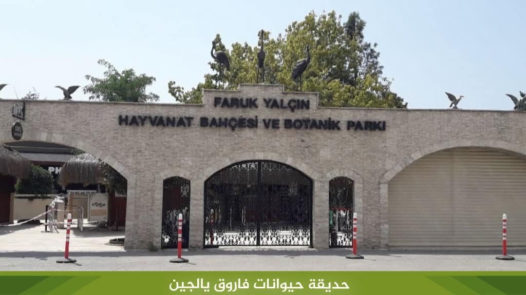 %D8%AD%D8%AF%D9%8A%D9%82%D8%A9 %D8%AD%D9%8A%D9%88%D8%A7%D9%86%D8%A7%D8%AA %D9%81%D8%A7%D8%B1%D9%88%D9%82 %D9%8A%D8%A7%D9%84%D8%AC%D9%8A%D9%86