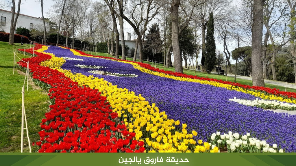 %D8%AD%D8%AF%D9%8A%D9%82%D8%A9 %D9%81%D8%A7%D8%B1%D9%88%D9%82 %D9%8A%D8%A7%D9%84%D8%AC%D9%8A%D9%86